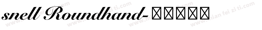 snell Roundhand字体转换